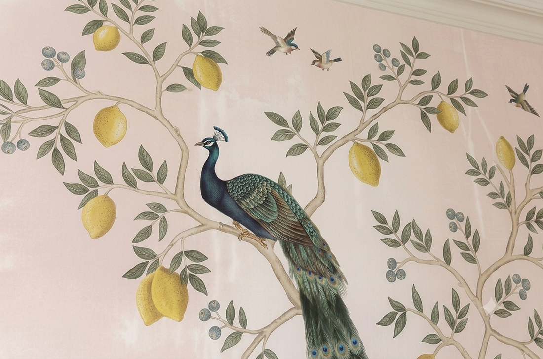Royal Peacock Garden Blush Pink Wallpaper