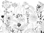 BLACK & WHITE Wallpaper