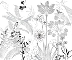 BLACK & WHITE Wallpaper
