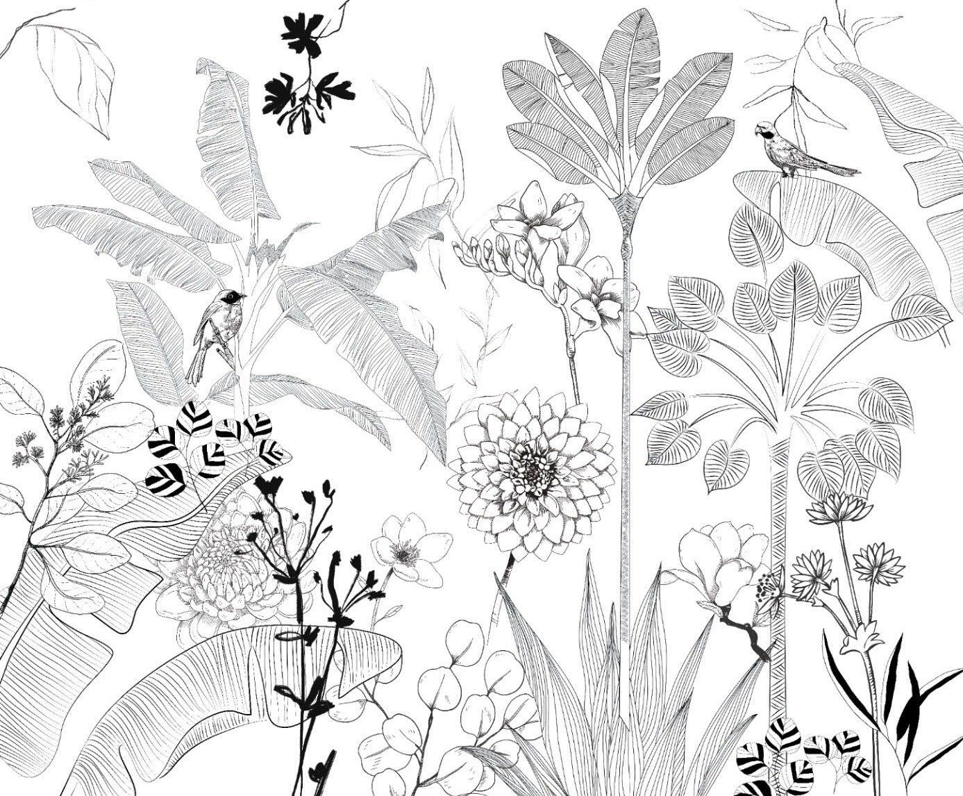BLACK & WHITE Wallpaper