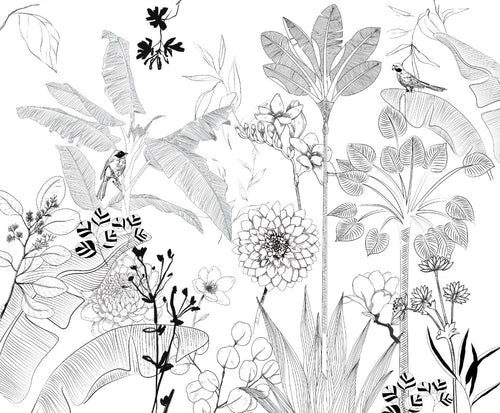 BLACK & WHITE Wallpaper